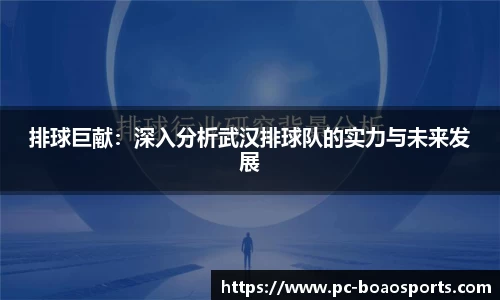 排球巨献：深入分析武汉排球队的实力与未来发展